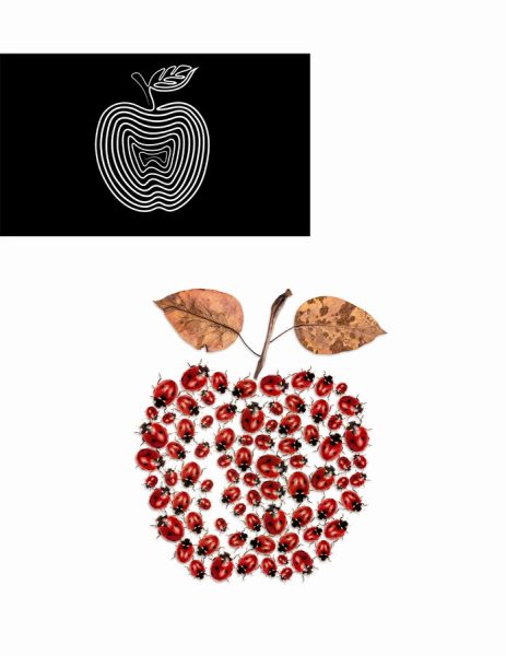 Abstract Orchard: Exploring the Essence of the Apple (CALARTS, 2024) (issuu.com/ldelfinob/docs/apple_book)